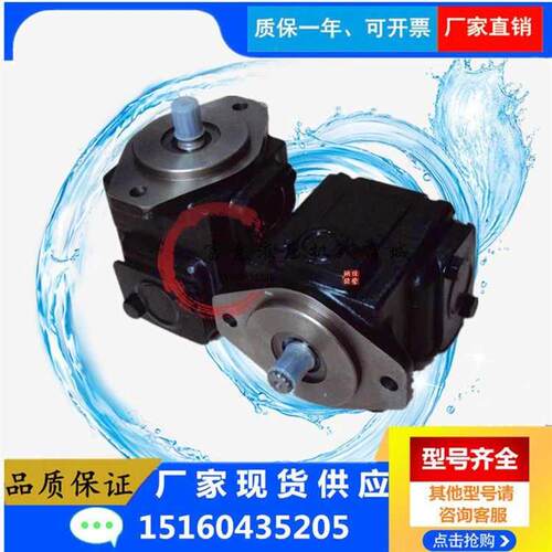 DENISON丹尼逊T7B/T7BS-B07/B08/BE10/B12/B15-1R00-A1M1叶片泵