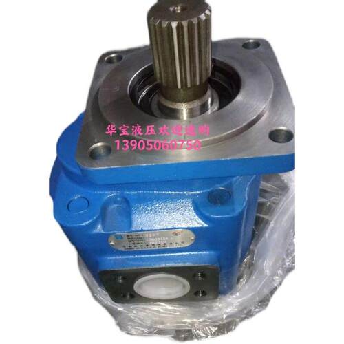济南液压泵有限责任公司 齿轮泵 CBGJ3125SL  原装品质保证