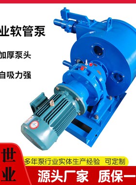 盛世RGB40g软管泵 砂石泥浆挤压泵 大流量发泡水泥输送泵出厂价