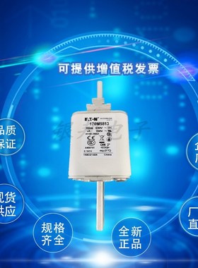 全新170M5885 170M5886 170M5887 N170M5888巴斯曼熔断器