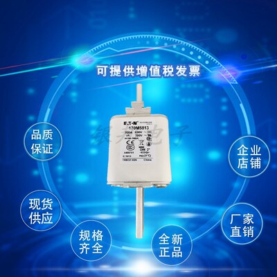 全新170M5885 170M5886 170M5887 N170M5888巴斯曼熔断器