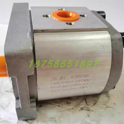 SAIRUI齿轮泵CBN-F303-CwLP CBNS-F328-CLP8LN1 液压油泵