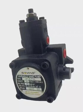 GEYAO格耀液压油泵VP-4040-tFA3 1515 2020 3030 A2 FA1双联叶片