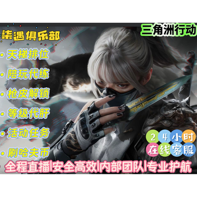 护航三角洲行动三角洲代肝哈夫币