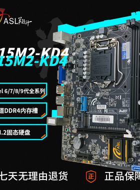 翔升（ASL）B315M2-K 台式电脑DDR4 支持9代CPU全新家用办公娱乐