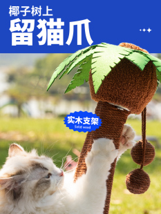 猫窝四季 新品 通用猫咪窝幼猫沙发宠物躺椅夏季 用品凉窝睡觉 猫床