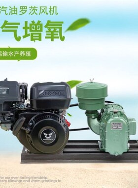 内燃大力泵小力泵皮带增氧机海鲜设备常工M全润车载无电养殖增氧