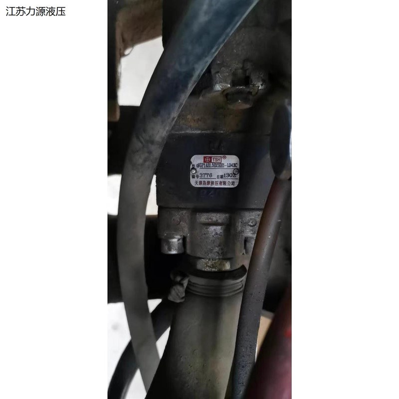 天津岛津液压有限公司 齿轮泵油泵 SGPA1A31.5D2HH1-L025C品质保