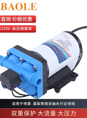 15升交流电动高压隔膜泵110V/220VD家用增压喷雾器自吸水泵FOBAOL