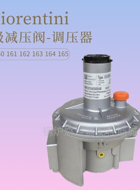 燃烧机减压阀FMgF30160 30161 30162 30163 30164菲奥调压器