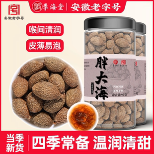 季海堂胖大海90g/罐正宗胖大海搭配罗汉果干茶冲泡水喝火保护嗓子