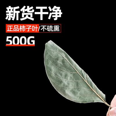 柿子叶500g新鲜干中药正品