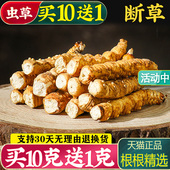 西藏那曲断虫草冬虫夏草1克特产正宗头期断虫草干货断草非礼盒装