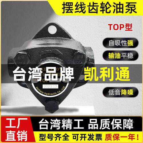 台湾原装 TOP-11A TOP-12A TOPG-13A润滑三角摆线齿轮泵电机油泵