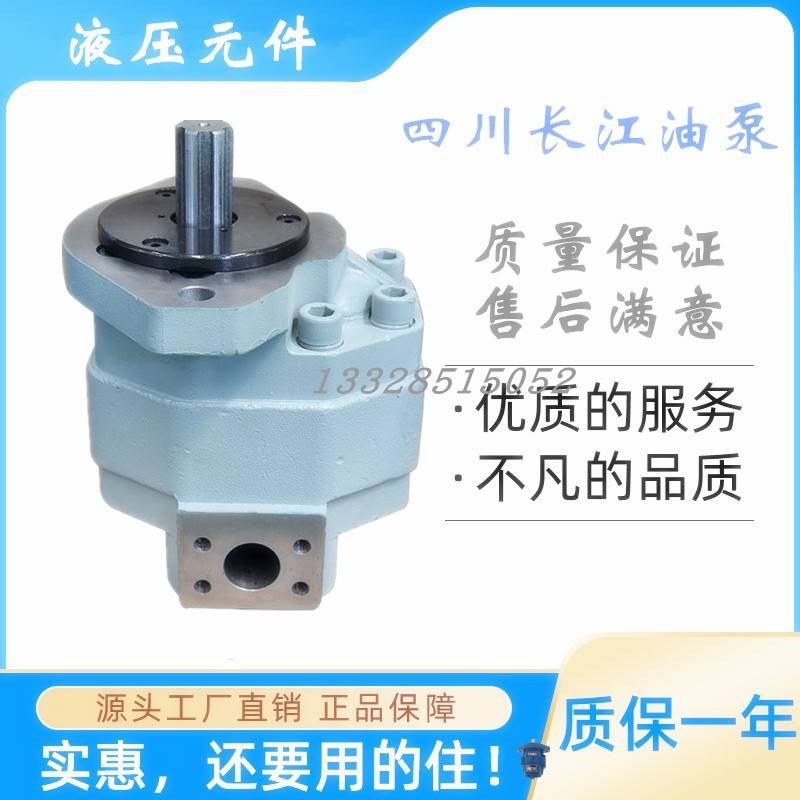 新款四川长江液压齿轮泵CBL520r0-B1R CBL5180/5160/5140-A1R  B1
