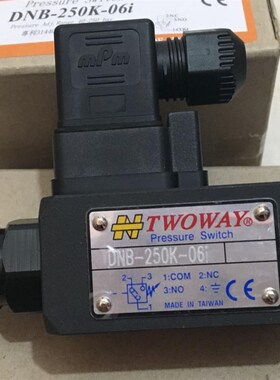 台肯 DaNB-250K-06i 070K 040K DNB-150K-06i 061现货 台湾