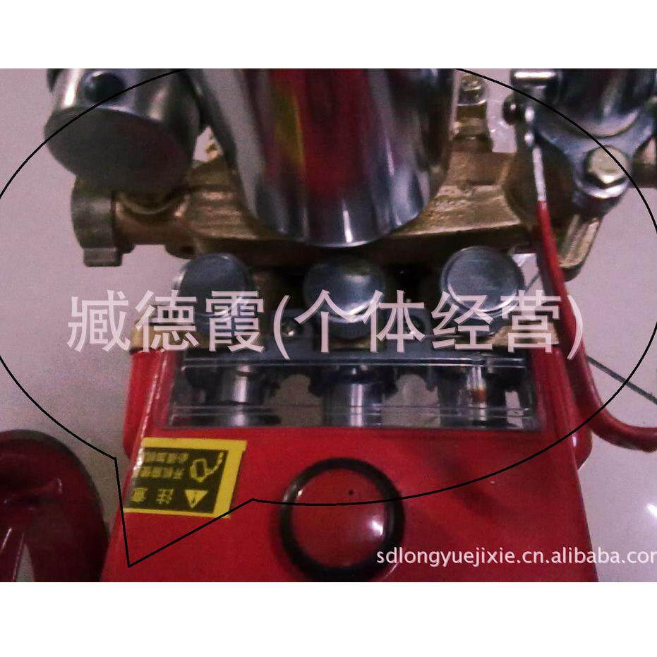 高果林泵 10 型2药泵 抽药水泵 120型 压力泵喷雾机压器 打药清洗