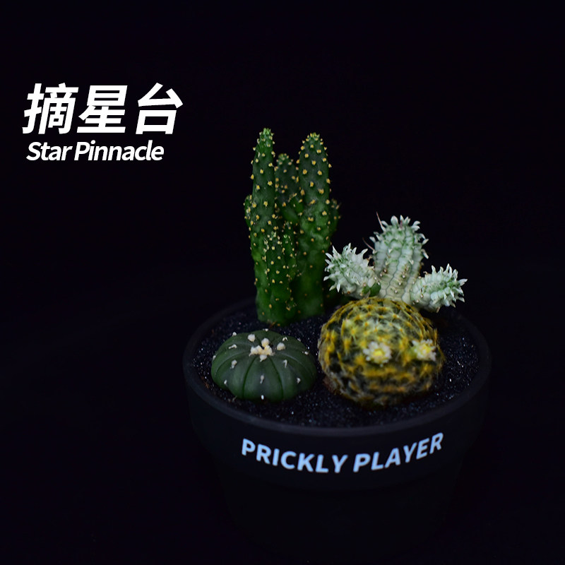【刺头玩家-摘星台】仙人球组合多肉植物