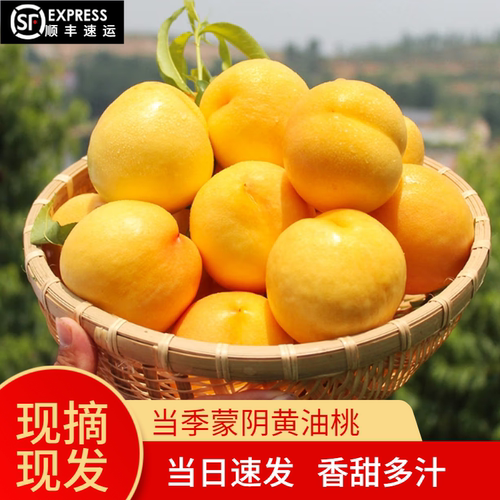 山东黄油桃新鲜油桃脆甜多汁