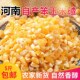 5斤装 包谷米苞颗粒河南特产米玉米糁2023新鲜现磨玉米渣五谷杂粮