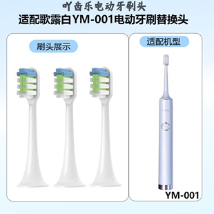 吖齿乐适配时光颜研究所电动牙刷头YAMAN雅萌YM-001/for歌露白