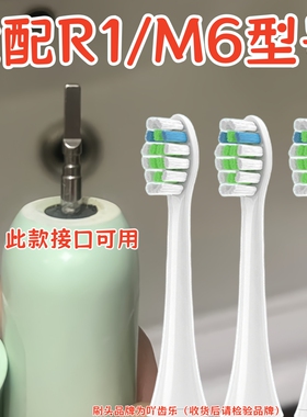 适配蒂颂尼Disonne电动牙刷头R1/M6/DSN-C2/D16/S1/G2/BR-Z1