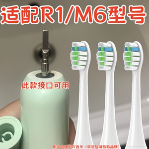 适配蒂颂尼Disonne电动牙刷头R1/M6/DSN-C2/D16/S1/G2/BR-Z1
