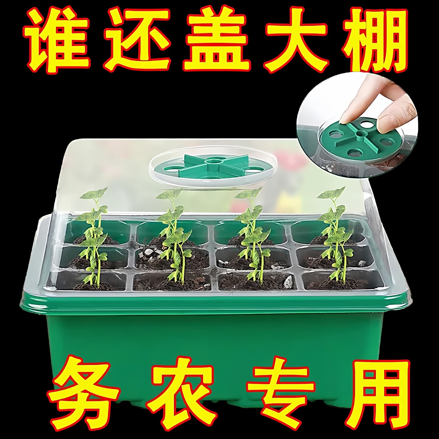 育苗盘盆加厚育苗盒带盖扦插育苗神器保温保湿通用催芽盒播种12孔