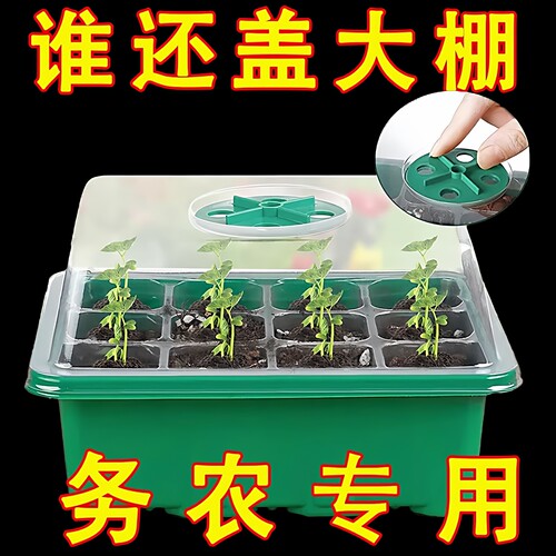 育苗盘盆加厚育苗盒带盖扦插育苗神器保温保湿通用催芽盒播种12孔