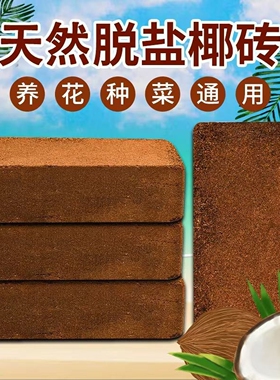 爬宠椰土乌龟冬眠土寄居蟹专用饲养箱巴西龟蜘蛛用品椰砖蜗牛过冬