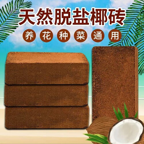 爬宠椰土乌龟冬眠土寄居蟹专用饲养箱巴西龟蜘蛛用品椰砖蜗牛过冬