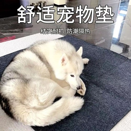 宠物地垫防滑防抓隔音垫子狗狗猫咪窝笼围栏地毯防水通用垫底部