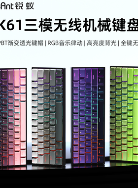 锐蚁 K61无线机械键盘RGB背光蓝牙三模热插拔笔记本电脑办公游戏