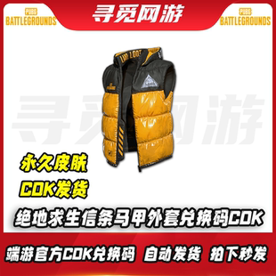 PUBG绝地求生信条马甲吃鸡黑黄信条马甲外套皮肤激活码 CDK 兑换码