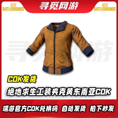 PUBG绝地求生工装夹克上衣吃鸡黄东南亚上衣皮肤激活码兑换码CDK