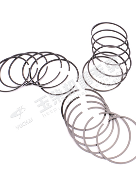 YC6T540C船用发动机T9000-1004002A*活塞环