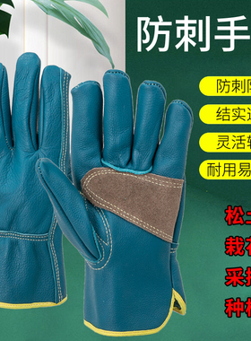 月季防刺手套荆棘仙人球板栗采摘园艺手套玫瑰花修剪厚牛皮防扎刺