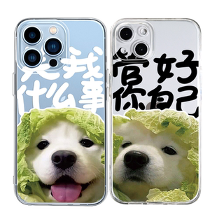 管好自己菜狗适用苹果14手机壳11Promax透明iPhone13情侣vivox50华为nova6荣耀magic4搞怪opporeno5新款12软x
