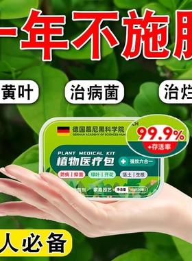 【现货快发】植物医疗包营养棒防病菌发芽分化爆芽活土壮根肥料