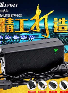 绿维锂电池电动车 电瓶锂电池充电器12v24v36v48v伏72v2a3a安通用