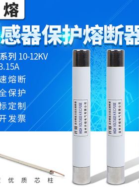高压限流熔断器XRNP1-10KV-12KV-0.5A1A2A3A电压互感器PT保险熔管