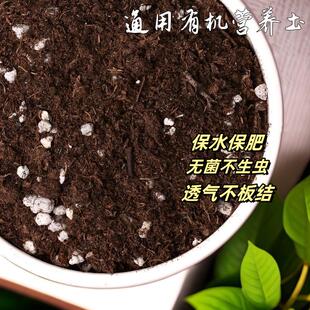 花泥营养土通用型家用多肉专用养花种花种菜种植泥土盆栽有机土壤