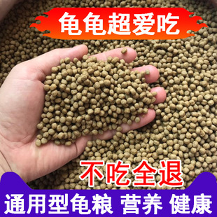 小巴西龟大乌龟饲料 通用龟粮草龟鳄鱼龟石金钱专用食物颗粒型散装