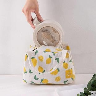 for Lunc Cute Insulated Portable Women Bag Lunch Fruit