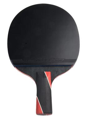 Ping Pong Paddle Hard Case Single Professional Training Carb