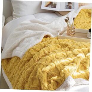 被子毛毯 velvet thick warm winter quilt duvet 2sides blanket