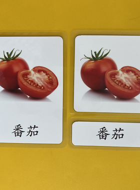 蒙氏教具语言区早教中文三段卡蔬菜vegetables塑封认知闪卡抽认卡