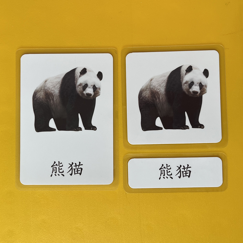 蒙氏幼儿园教具语言区中文三段卡