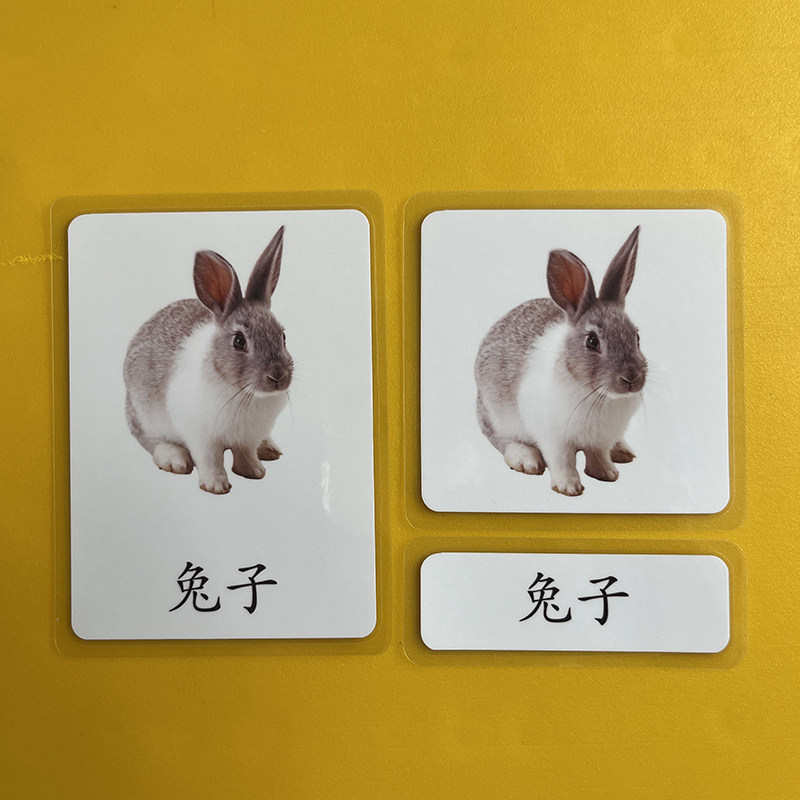 蒙氏教具农场动物中文三段卡闪卡