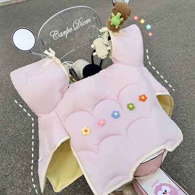 电动车挡风被冬季加绒可爱女士